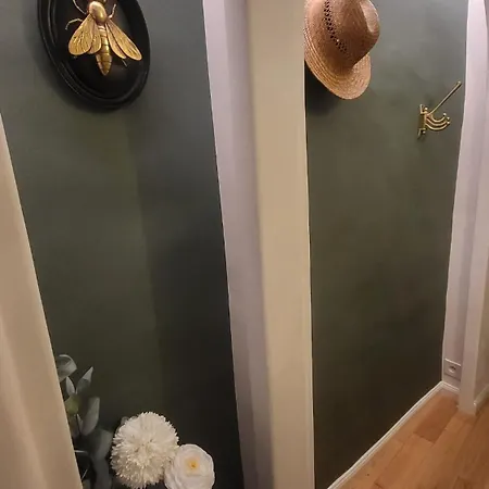 De Charme Cœur D'ajaccio *